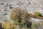 رنگین‌کمان رنگ‌ها در سرزمین ارسباران