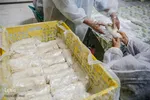 کرونا امتحانی برای اثبات مهربانی مردمان شیراز‎