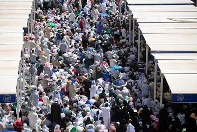 مراسم دعای عرفه در آستان حسینی