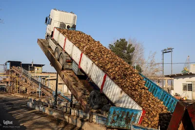 خوداتکایی در تولید شکر