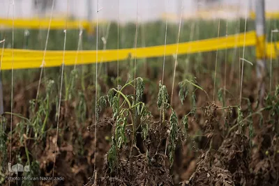 بازدید اعضای ستاد بحران آذربایجان شرقی از مناطق سیل زده شهرستان اهر‎