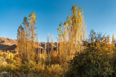 پاییز زیبای طالقان