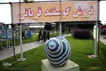 Opferfest in Alten- und Pflegeheim „Kahrizak“ gefeiert
