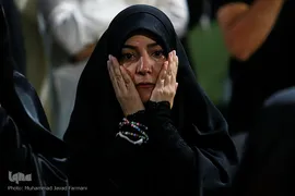 زائران حسینی