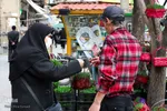 حال و هوای نوروز در سرزمین آفتاب‎‎