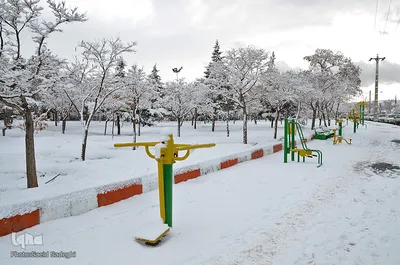 چهره برفی تبریز