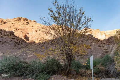 پاییز زیبای طالقان