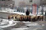 بارش برف پاییزی در ارتفاعات و مناطق روستایی اهر