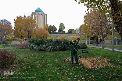 برگریزان پاییزی در همدان