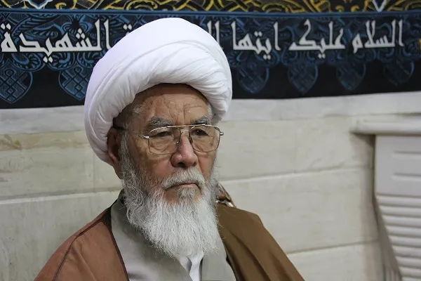 رئیس شورای علمای اهل تشیع افغانستان انتخاب شد