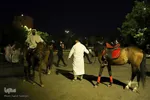 بازسازی واقعه غدیرخم در تبریز‎
