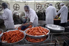 جهاد آبمیوه گیری موکب «المهدی» هیأت رزمندگان اسلام شمیرانات برای یاری کادر درمانی و شفای عاجل بیماران کرونایی