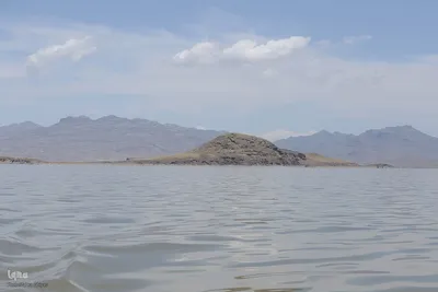 بازدید تور رسانه‌ای از کاکایی ارمنی در جزیره شاهسون دریاچه ارومیه و مزرعه پرورش آرتمیای بندر رحمانلو در عجب‌شیر