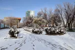 Cidade do noroeste do Irã coberta de branco pela neve do outono