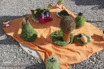 کاروان استقبال از بهار در مناطق روستایی شهرستان اهر