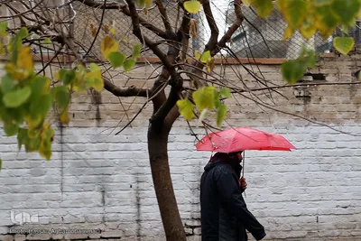 اولین باران زمستانی تهران