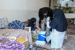 اجرای طرح واکسیناسیون خانه به خانه در مشهد
