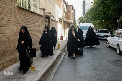 رقابت های قرآنی ورزشکاران و جوانان سراسر کشور در شیراز آغاز شد
