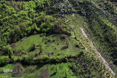 لبخند طبیعت در جلگه گیلان