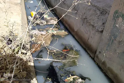 بازدید میدانی اصحاب رسانه و همراهی مسئولین از روستای گردخون فارس
