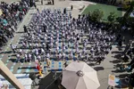 آیین استانی جشن شکوفه‌ها «ویژه دانش آموزان کلاس اولی»‎