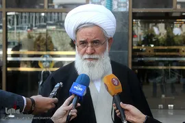 حجت الاسلام علی اکبر صادقی رشاد،عضو شورای عالی انقلاب فرهنگی
