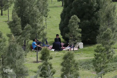 روز طبیعت با چاشنی کرونا