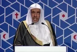 Le SG de la Ligue islamique mondiale : « Les musulmans doivent respecter les lois françaises  »