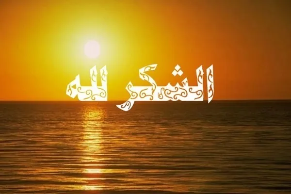 مَنْ بَذَلَ لَكَ جُهْدَ عِنايتِه فَابْذُلْ لَهُ جُهْدَ شُكْرِكَ