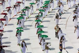 آغاز مراسم حج