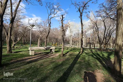 روز طبیعت در زنجان