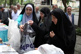 ترتیل خوانی قرآن کریم در نماز جمعه تهران