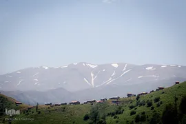 جنگل ، هدیه خدا (به بهانه ۸ مردادماه روز ملی جنگل)