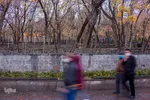پاییز تبریز در فصل کرونا