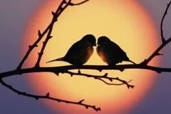 Le modèle d'amour dans la famille