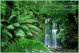 حدیث‌نگاشت/ حفظ آبروی مسلمان