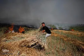 غزه، در خون و آتش