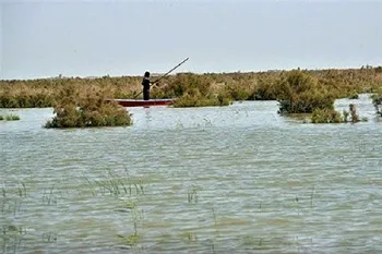کمک سازمان ملل به احیای تالاب هامون در سیستان‌و‌بلوچستان