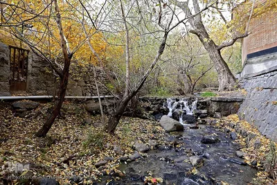 برگریزان پاییزی در همدان