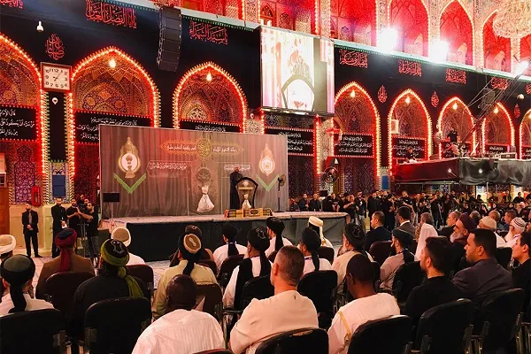 تنظيم مهرجان 
