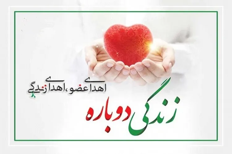 دانشگاه علوم پزشکی یاسوج