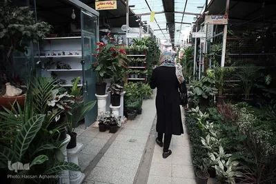 بازار گل شهید محلاتی در روز ملی گل