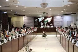 伊斯兰合作组织对印度穆斯林的状况表示担忧
