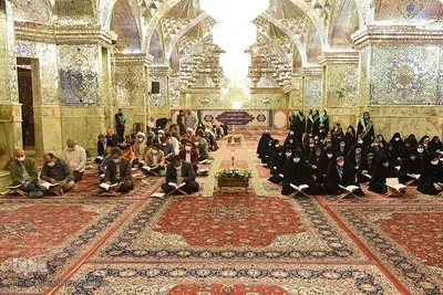 دیدار جامعه قرآنی فارس با نماینده ولی فقیه در استان