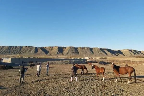 مستند «مادیون» با موضوع کارآفرینی تولید شد