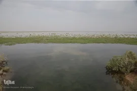 روز قم