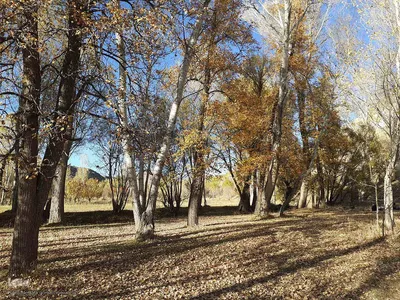 رنگ آمیزی طبیعت در مناطق روستایی شهرستان اهری