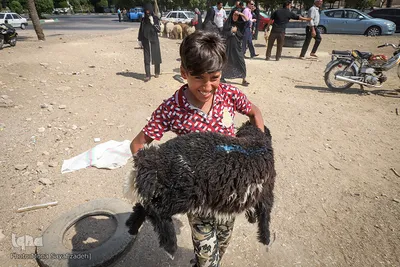 خرید و  فروش دام در روز عید قربان