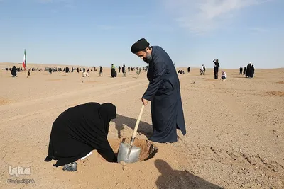 غرس نهال در روز طبیعت