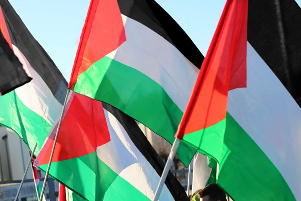 La Belgique reconnaîtra la Palestine à la prochaine Assemblée générale des Nations unies